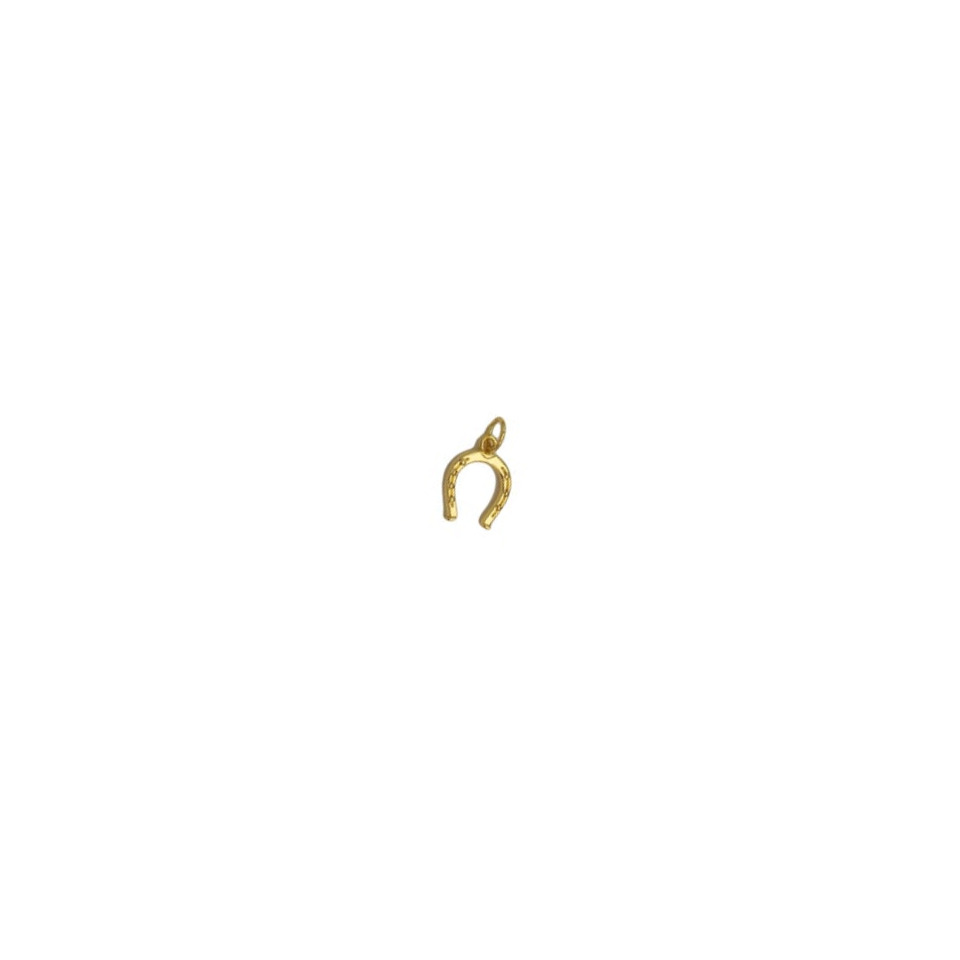 Lucky Horseshoe Charms