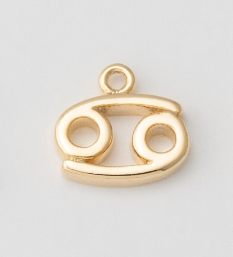 Tiny Zodiac Sign Charm