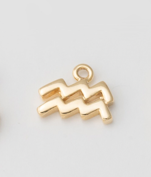 Tiny Zodiac Sign Charm