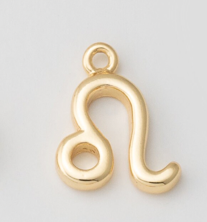 Tiny Zodiac Sign Charm
