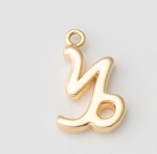 Tiny Zodiac Sign Charm
