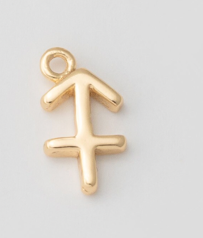 Tiny Zodiac Sign Charm
