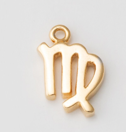 Tiny Zodiac Sign Charm