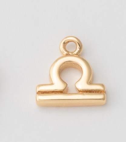 Tiny Zodiac Sign Charm