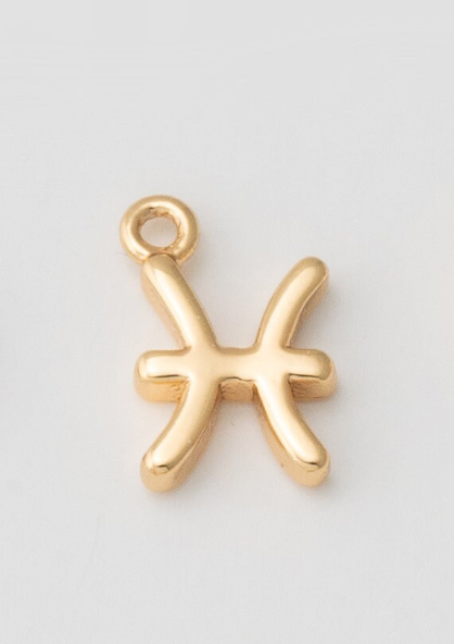 Tiny Zodiac Sign Charm