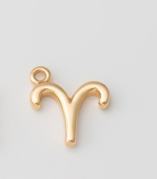 Tiny Zodiac Sign Charm