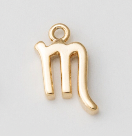 Tiny Zodiac Sign Charm