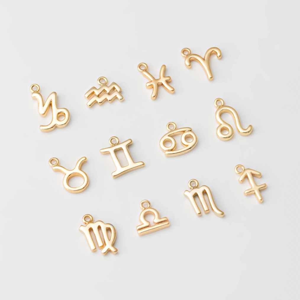 Tiny Zodiac Sign Charm
