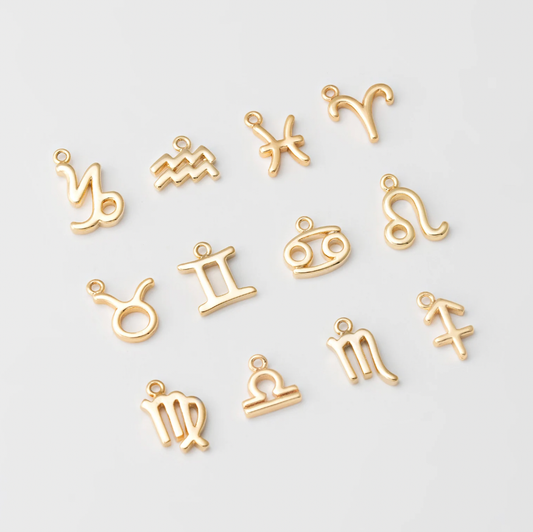 Tiny Zodiac Sign Charm