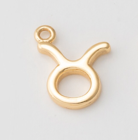 Tiny Zodiac Sign Charm