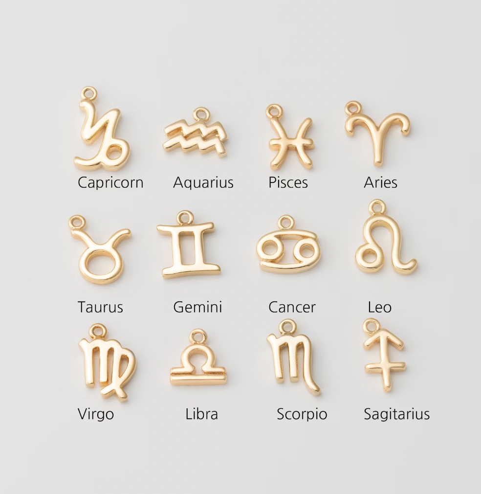 Tiny Zodiac Sign Charm