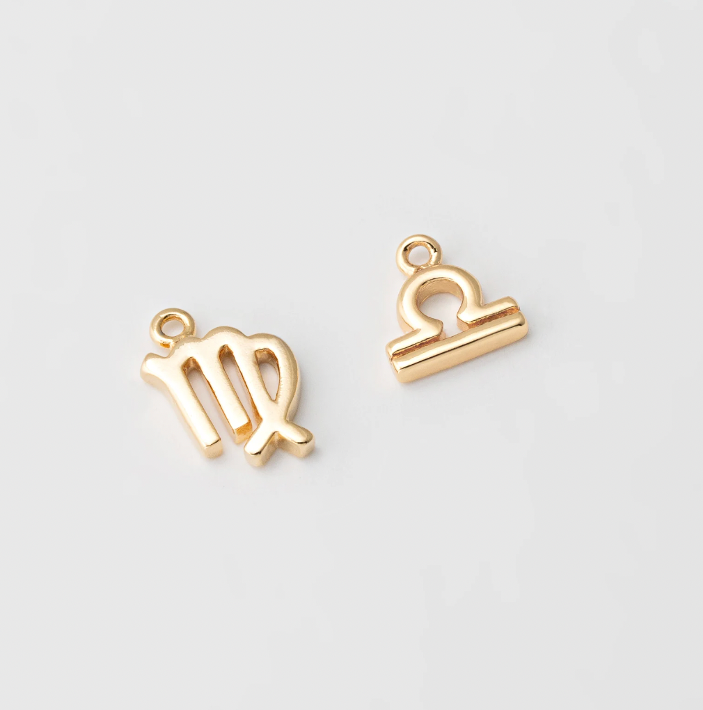 Tiny Zodiac Sign Charm